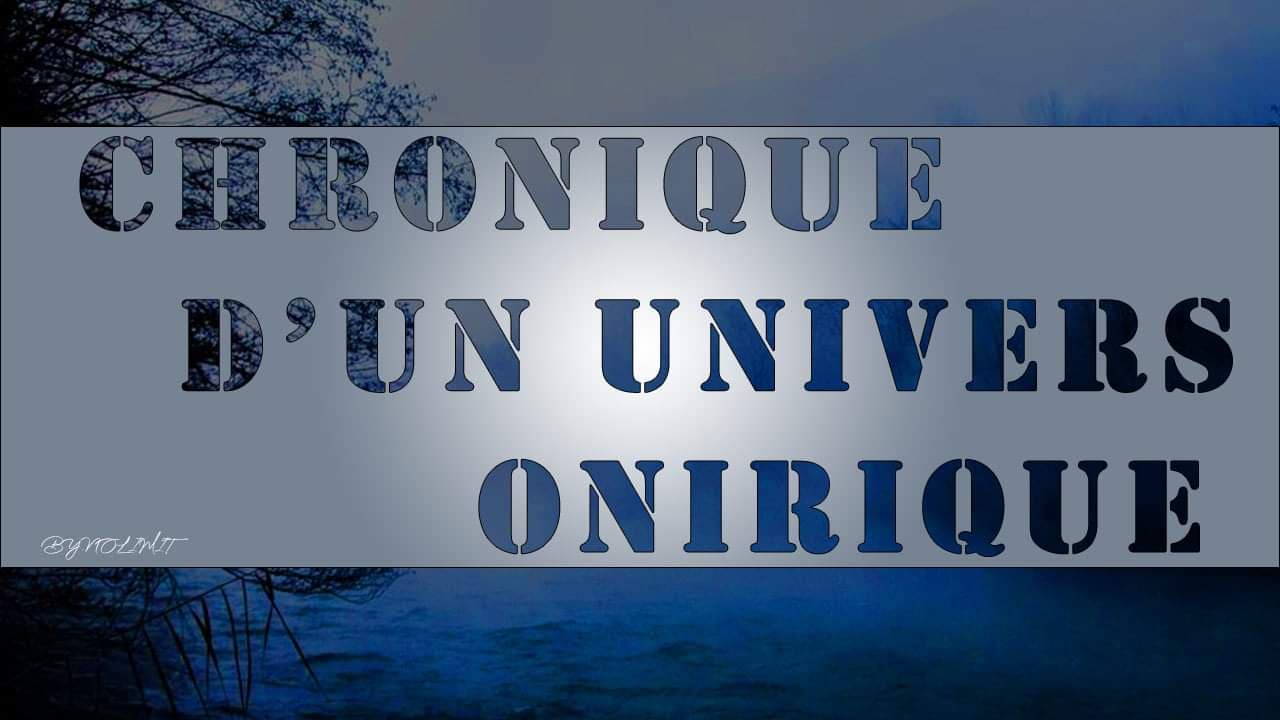 chroniquedununiversonirique-3