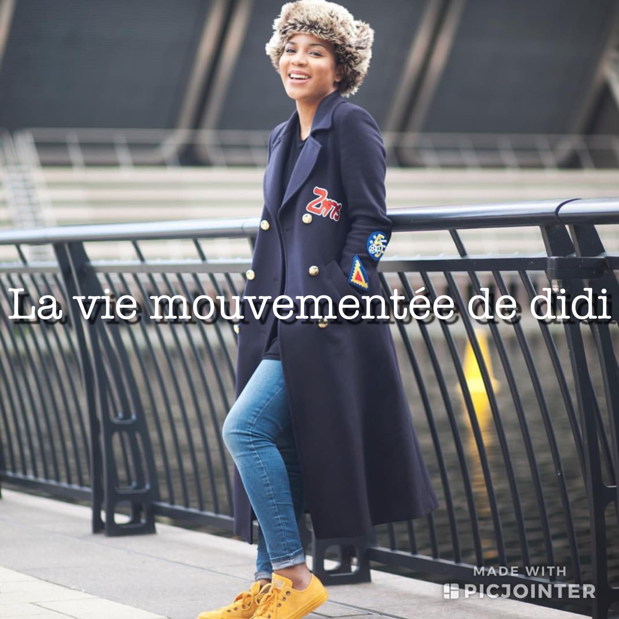 didilaviemouvente