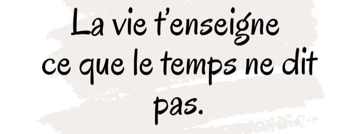Couverture de Zeno335
