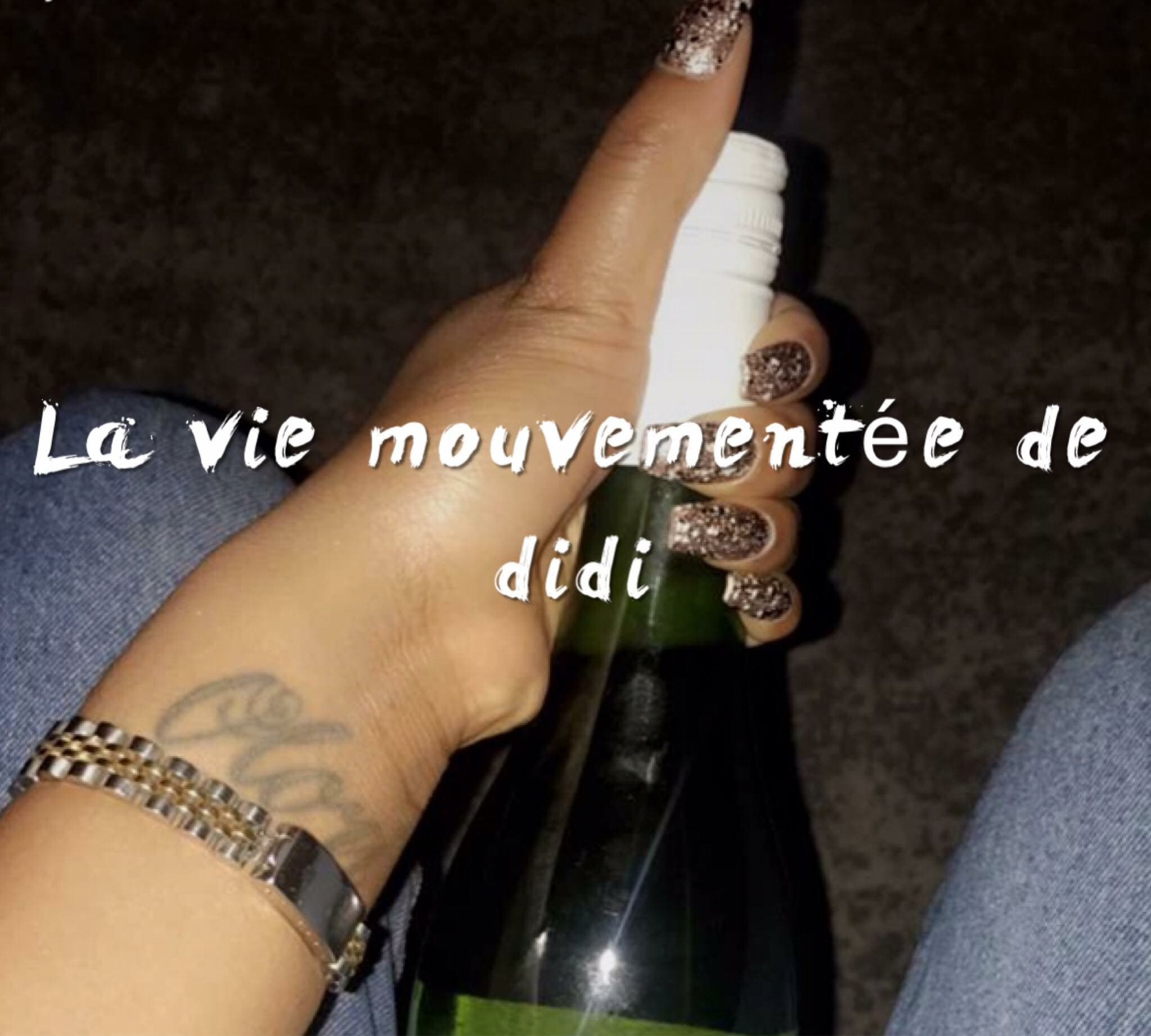 Couverture de didilaviemouvente