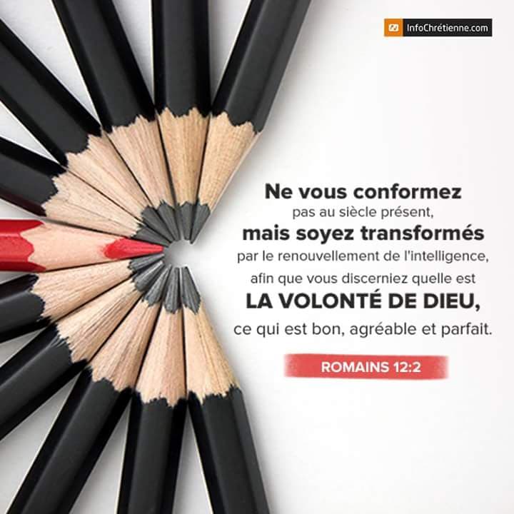 Couverture de plnitudesbyzo