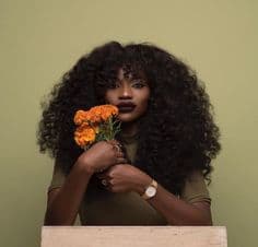 Couverture de rebellefleur