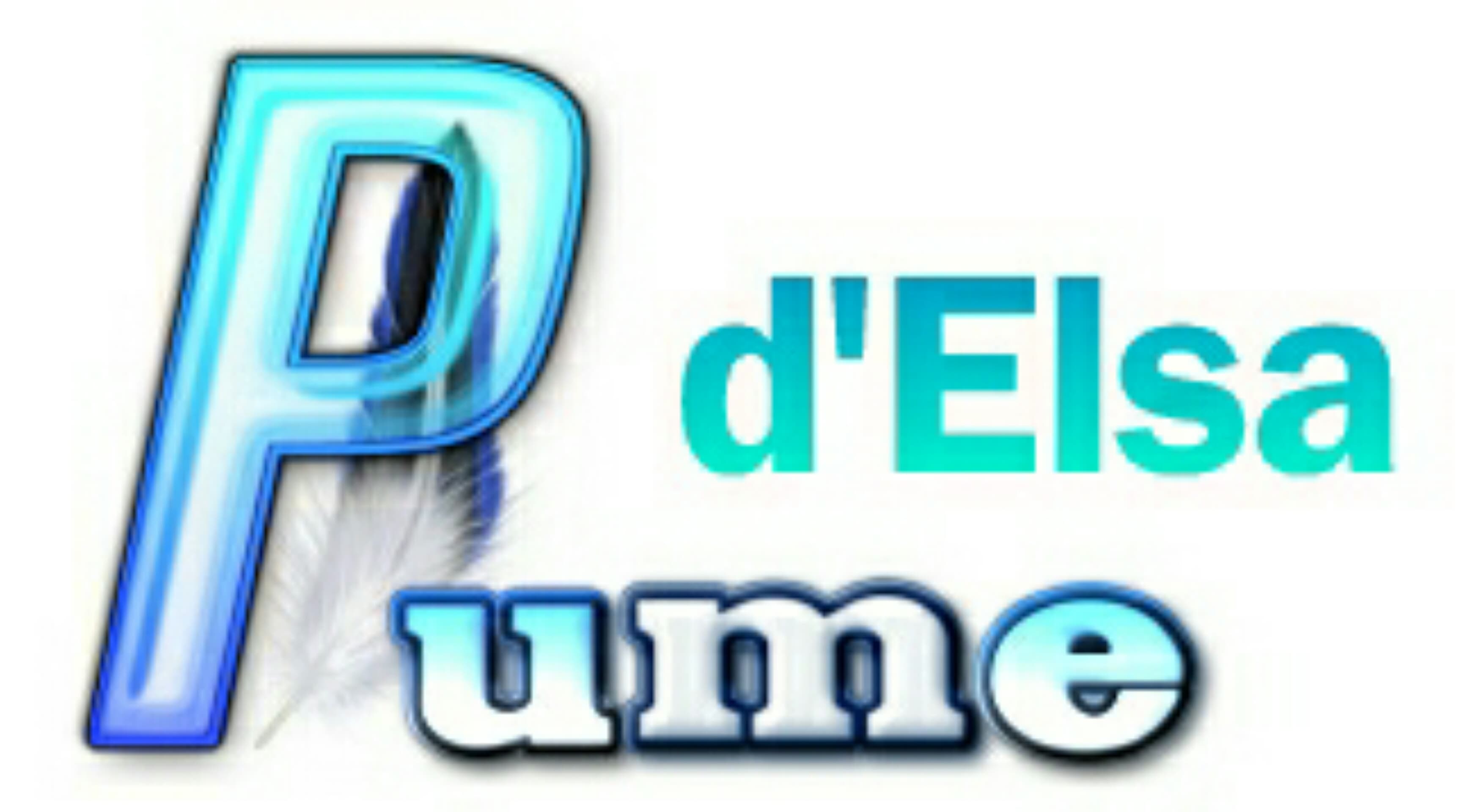 Couverture de elsa