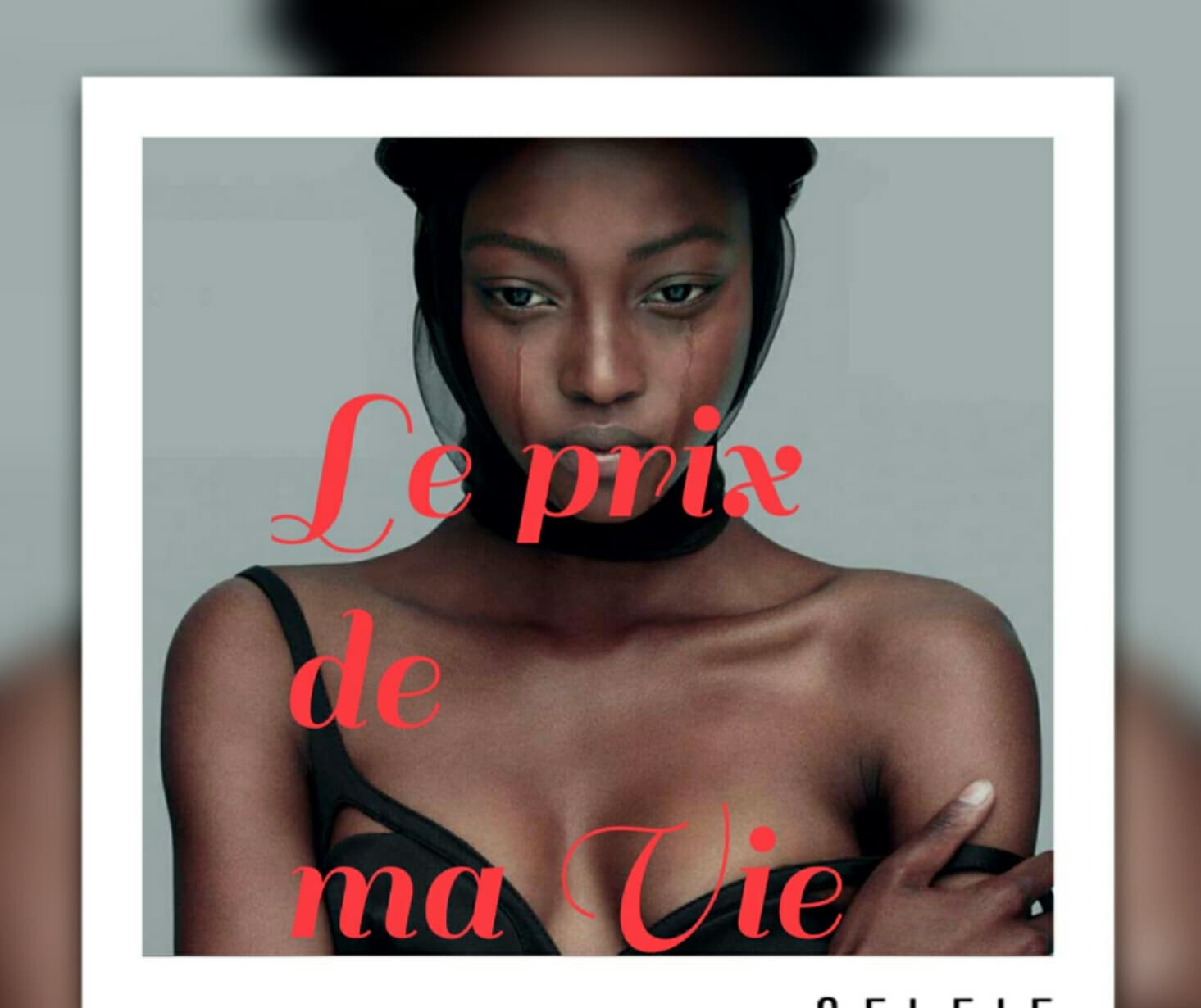 Le Prix de ma Vie