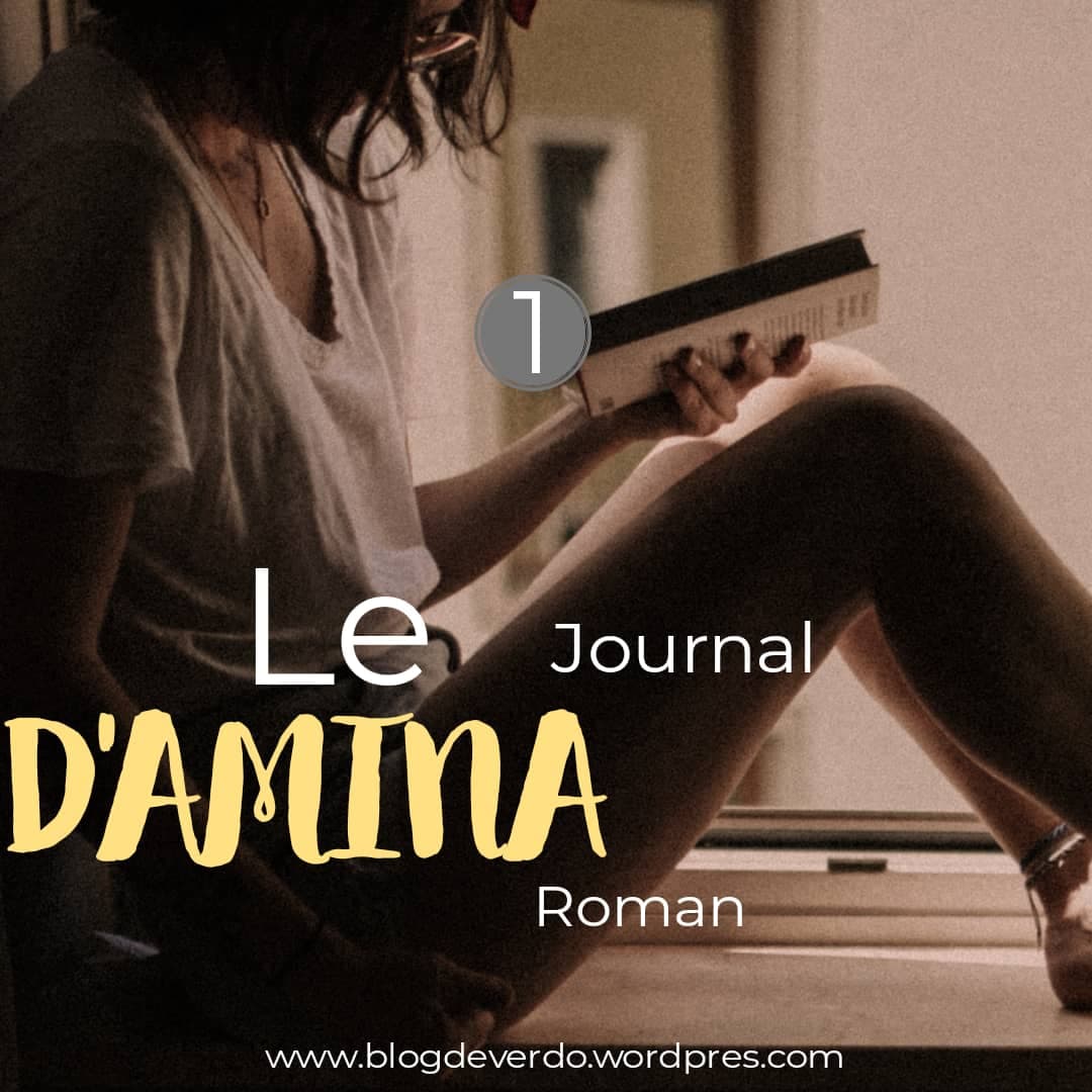 Le journal d'Amina