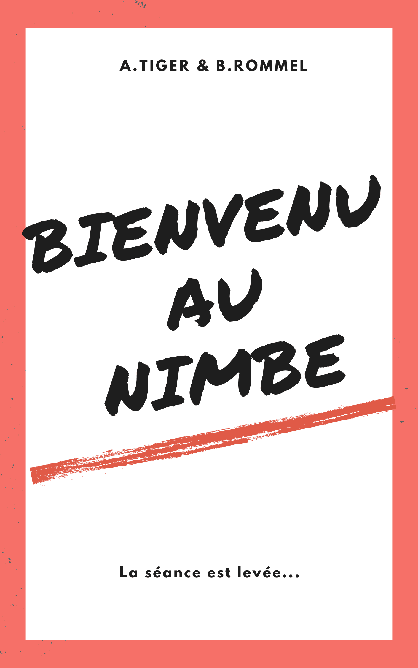 Bienvenu au NIMBE