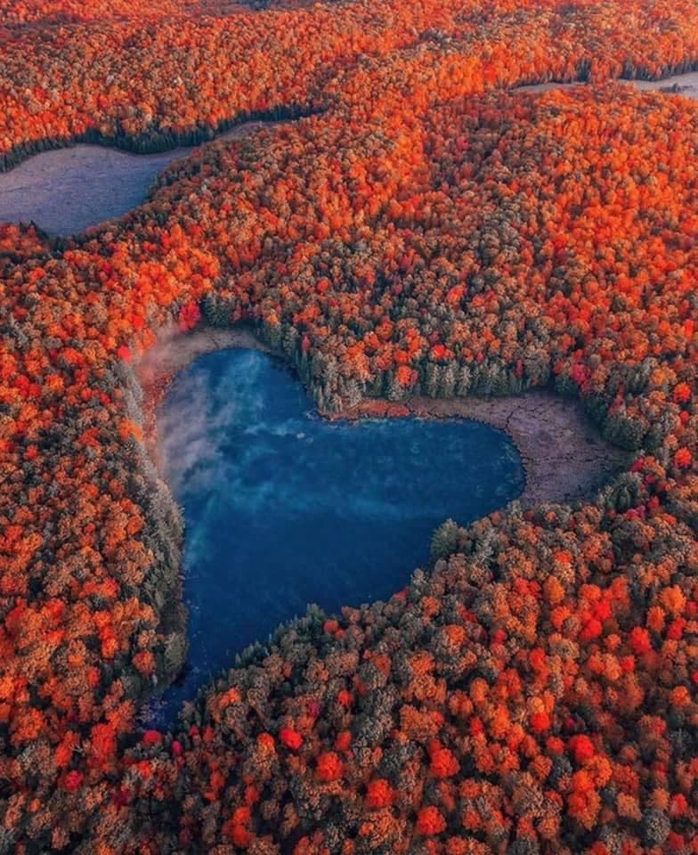 D’amour, D’amitié