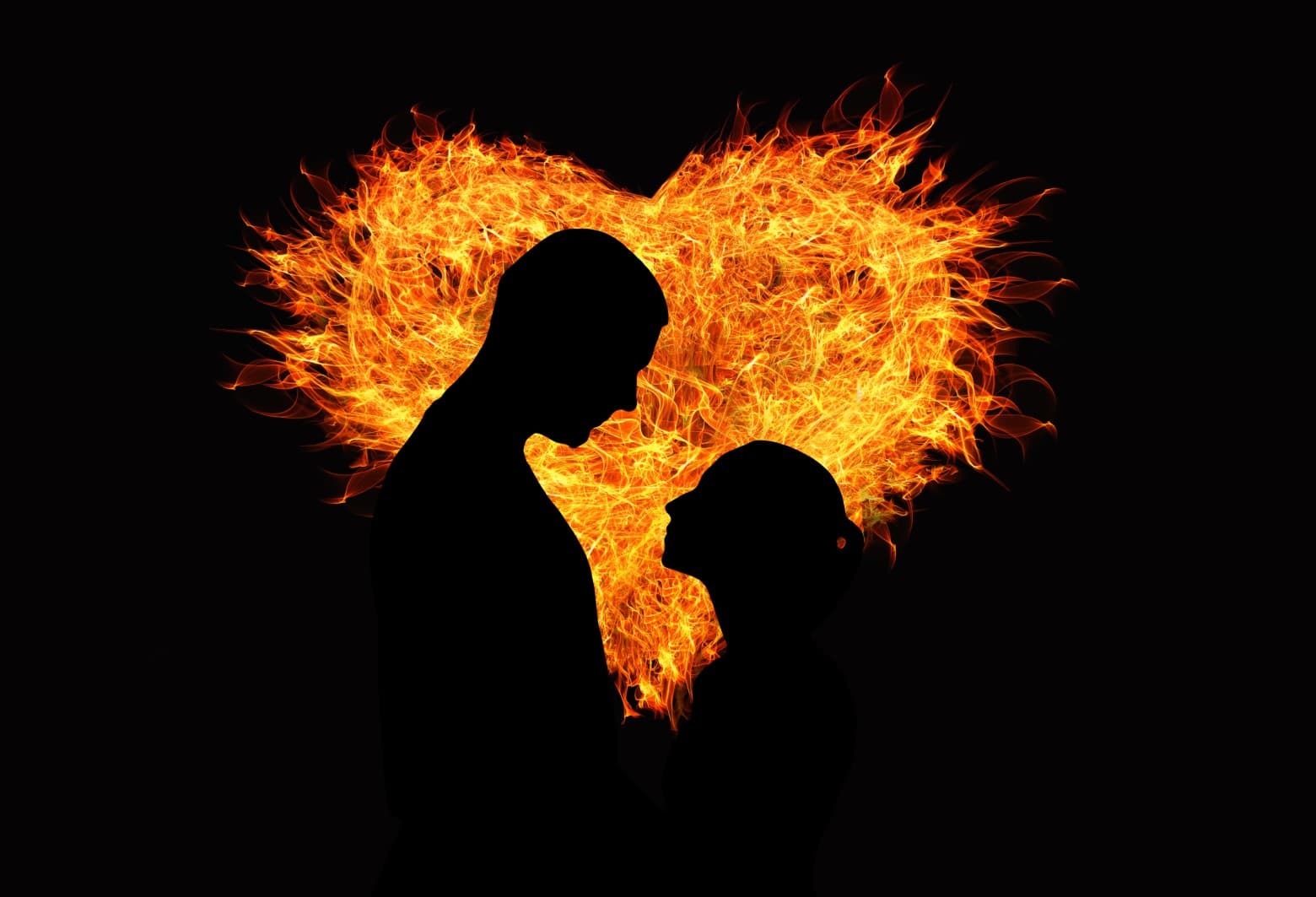 LE COEUR A SES RAISONS