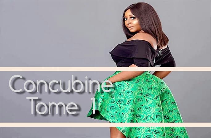 CONCUBINE TOME 1
