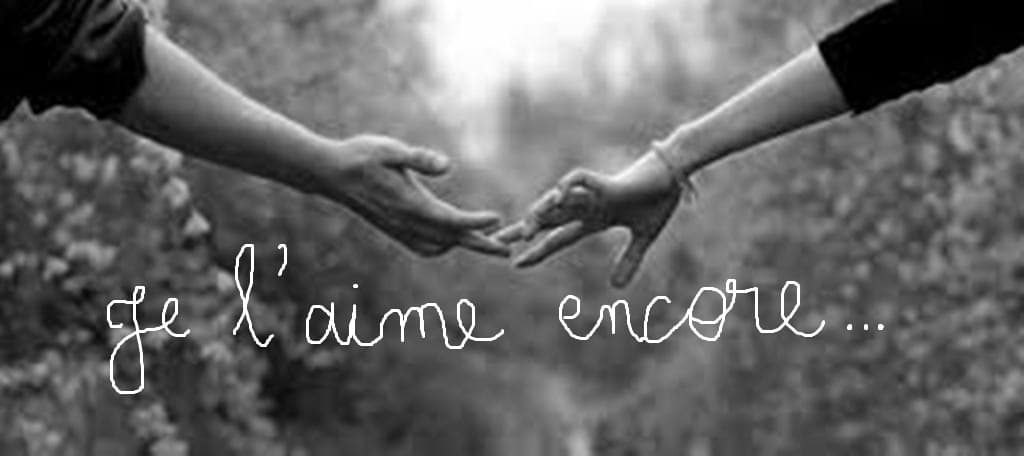 Je l'aime encore
