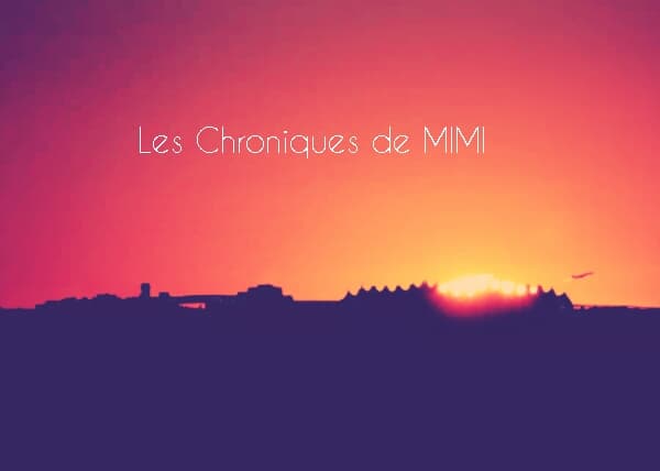 LES CHRONIQUES DE MIMI