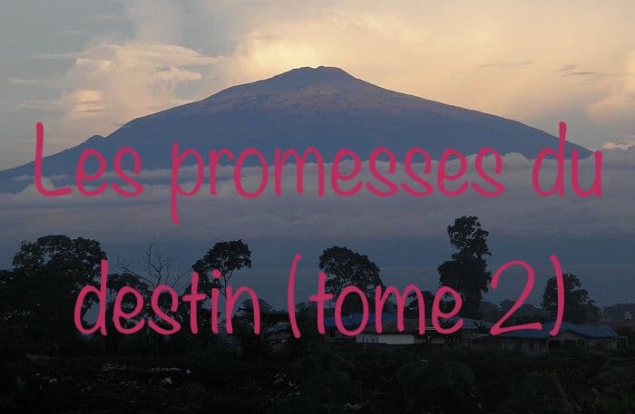 Les promesses du destin (tome 2)