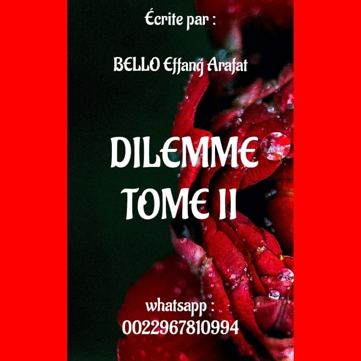 DILEMME ( TOME 02)