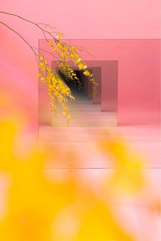 Sur le chemin des roses
