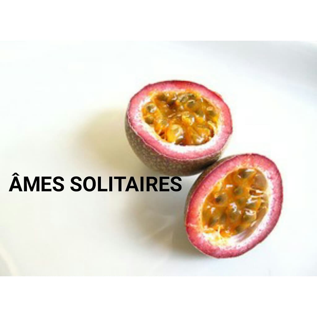 ÂMES SOLITAIRES